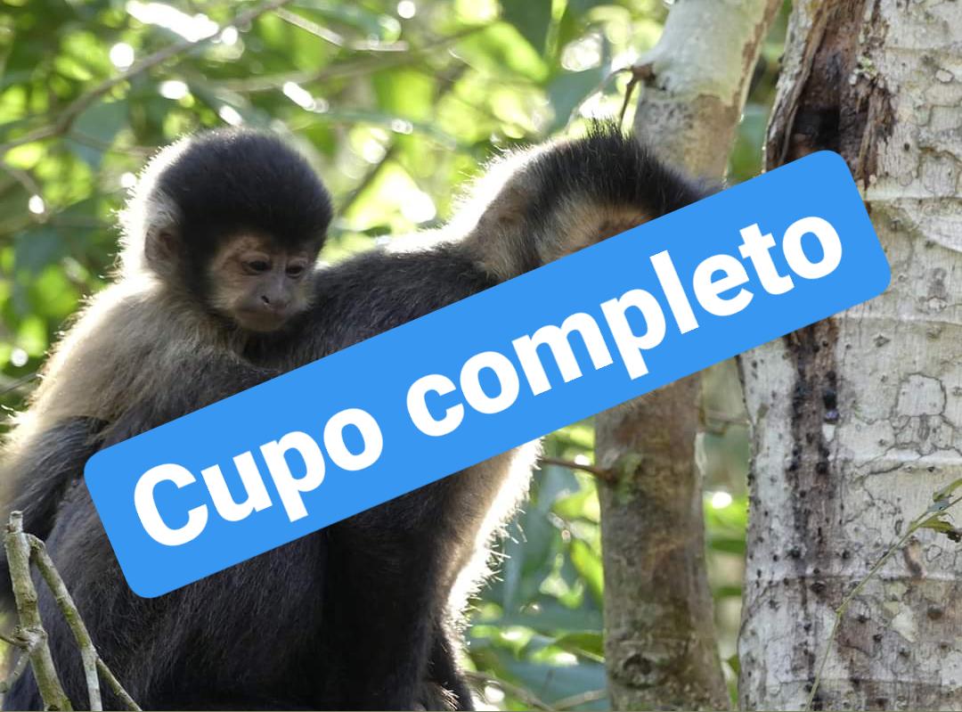 Curso online (clases en vivo) - Cultura Animal | Aves Argentinas